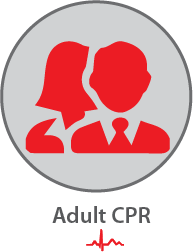 Adult CPR